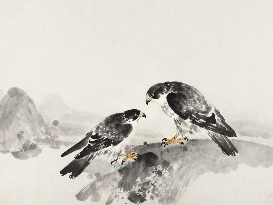 Ink wash painting: A captured falcon feeding calmly from the falconer’s glove that once belonged to its rival.